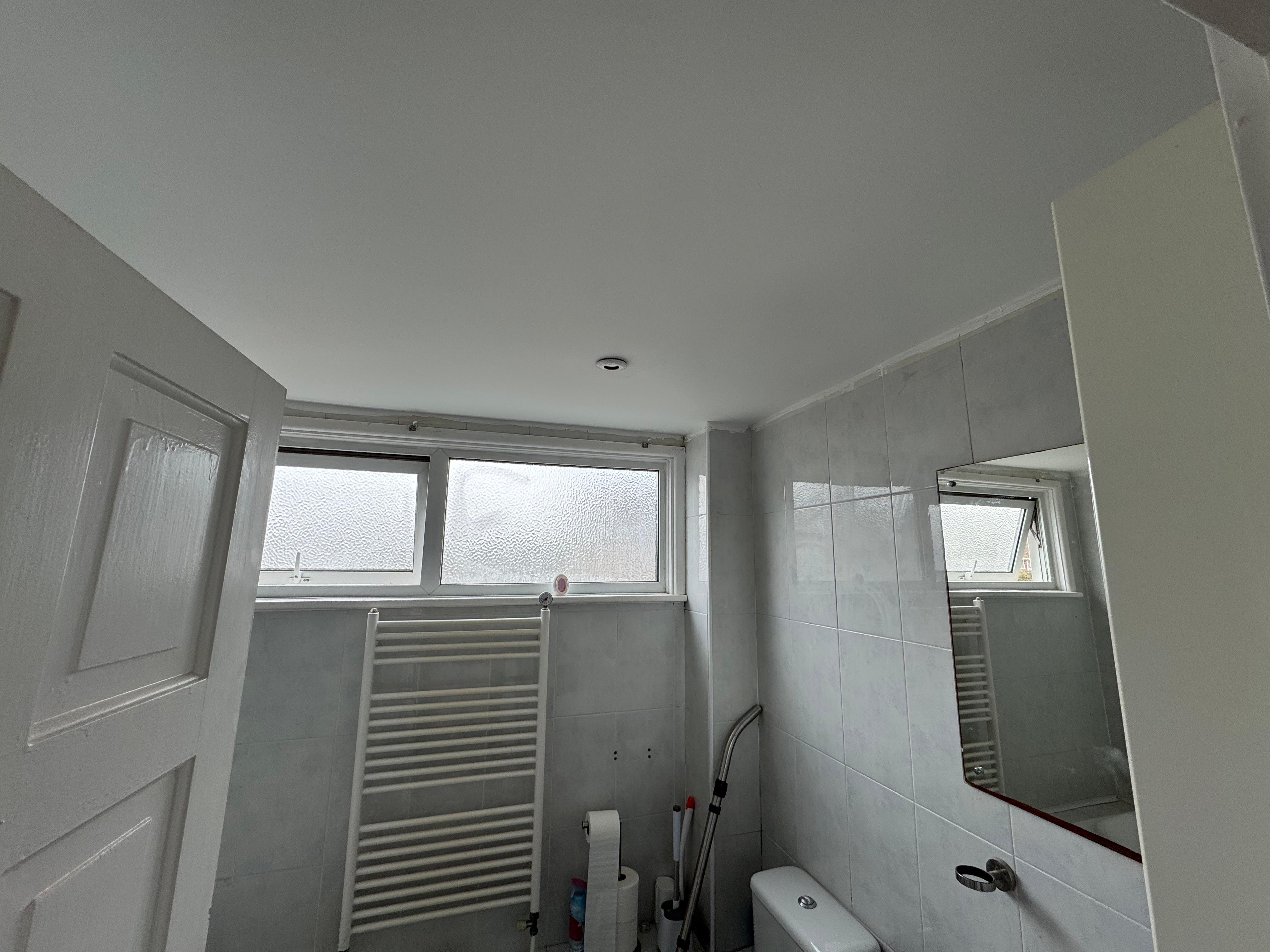 Project 15 – Freshly Plastered Ceiling Painting